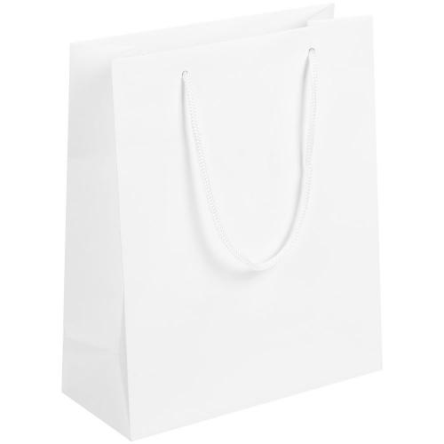 Пакет бумажный Vid M; - купить бизнесс-сувениры в Воронеже