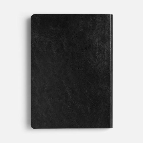 Ежедневник Doppio, недатированный; - купить подарки с логотипом в Воронеже