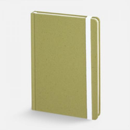 Блокнот Lactonica, зеленый