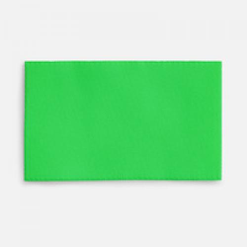 Лейбл тканевый Epsilon, M, зеленый неон