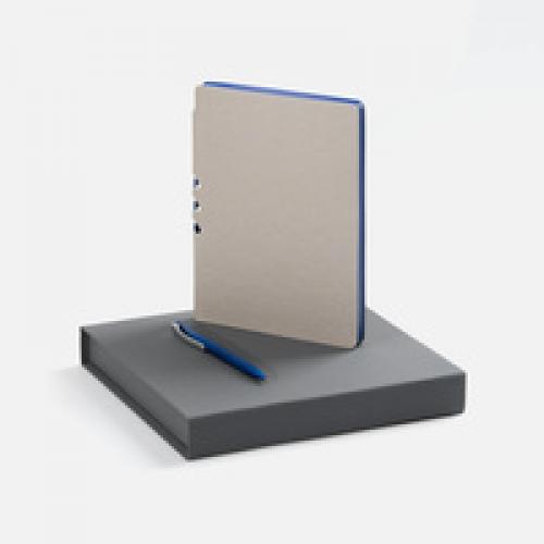 Набор Flexpen Grey, синий