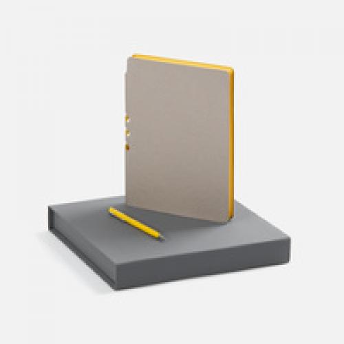 Набор Flexpen Grey, желтый