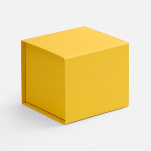 Коробка Alian; - купить бизнесс-сувениры в Воронеже