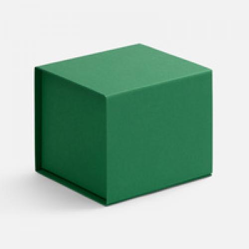 Коробка Alian, зеленая