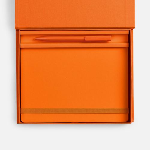 Набор Peel Flex; - купить необычные подарки в Воронеже