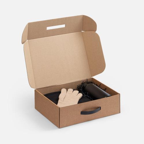 Коробка Light Case, ver.2; - купить необычные сувениры в Воронеже