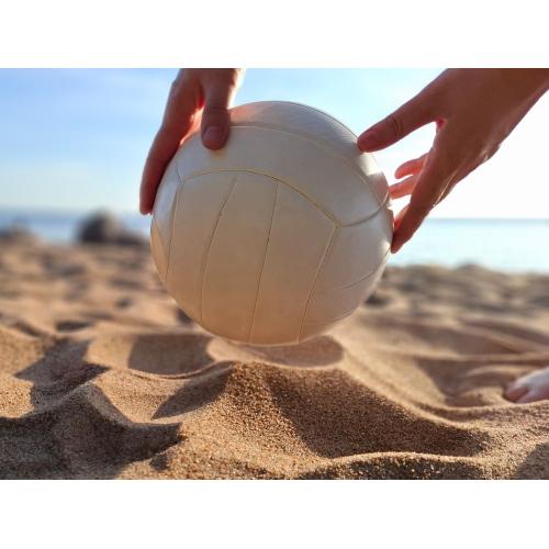 Волейбольный мяч Friday, ver.2; - купить необычные подарки в Воронеже