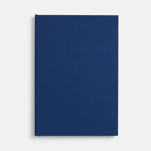 Ежедневник Flat, недатированный, синий; - купить необычные подарки в Воронеже