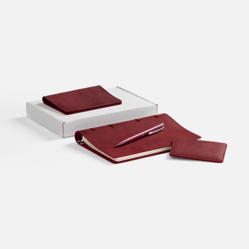 Набор inStream Maxi; - купить бизнесс-сувениры в Воронеже