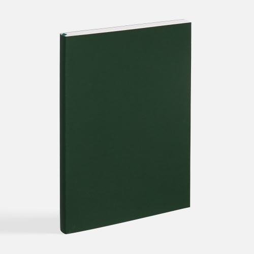 Ежедневник Flat Light ver.2, недатированный; - купить необычные подарки в Воронеже