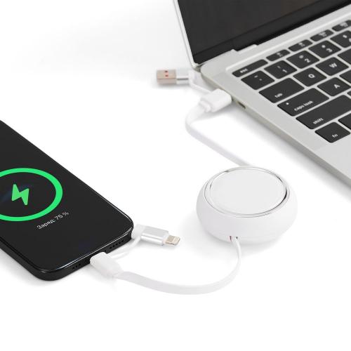 Складной кабель с переходниками pocketCoil; - купить бизнесс-сувениры в Воронеже