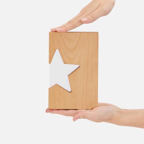 Стела StarRise Light на заказ; - купить необычные подарки в Воронеже