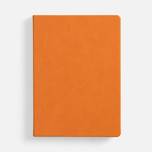 Ежедневник Basis, датированный; - купить необычные сувениры в Воронеже