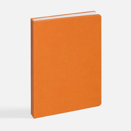 Ежедневник Basis, датированный; - купить необычные подарки в Воронеже