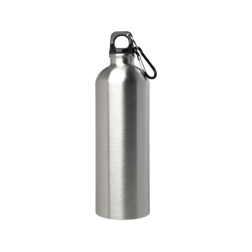 Одностенная бутылка для воды с карабином Oregon, изготовленная из нержавеющей стали, сертифицированной по стандарту RCS; - купить необычные подарки в Воронеже
