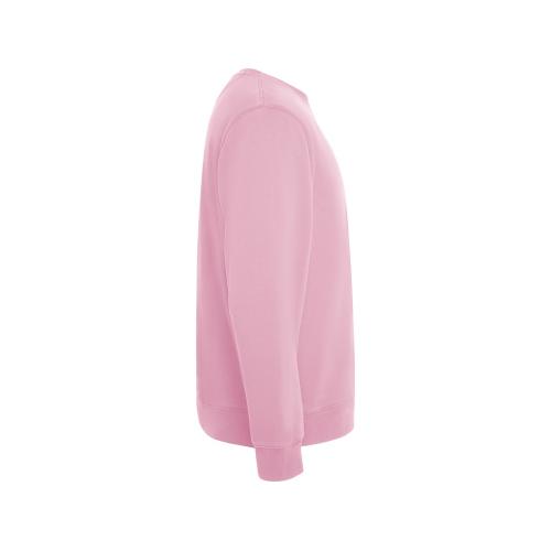 Свитшот Batian; - купить необычные сувениры в Воронеже