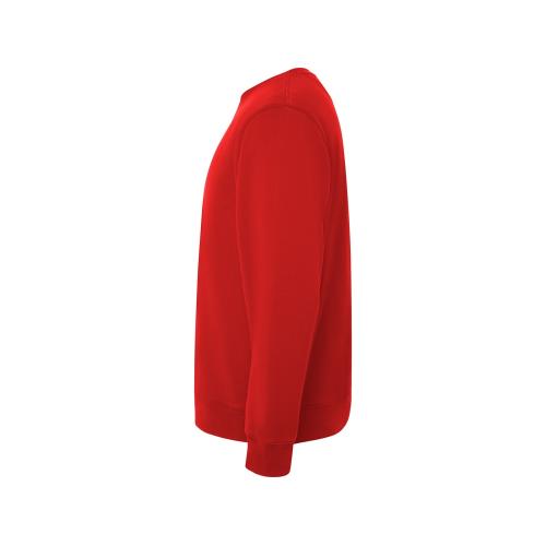 Свитшот Batian; - купить необычные сувениры в Воронеже