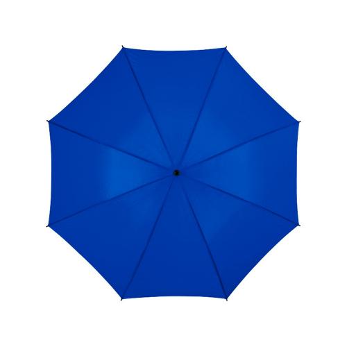 Зонт Barry 23 полуавтоматический; - купить необычные подарки в Воронеже