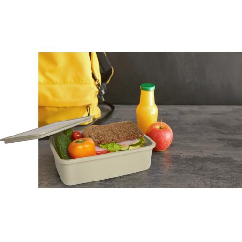 Dovi Контейнер для завтрака из переработанного пластика ; - купить именные сувениры в Воронеже