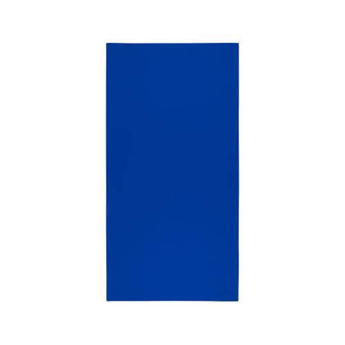 Lucas спортивное полотенце из переработанного полиэстера 50х100 см - Ярко-синий; - купить необычные сувениры в Воронеже