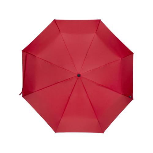 Дейн зонт 21 RPET; - купить необычные подарки в Воронеже