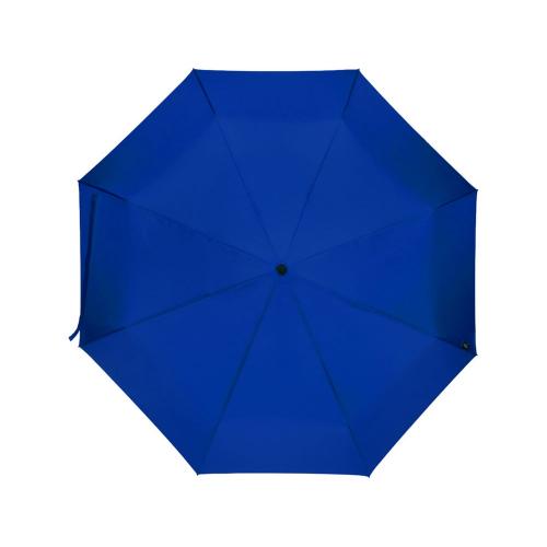 Дейн зонт 21 RPET; - купить необычные подарки в Воронеже