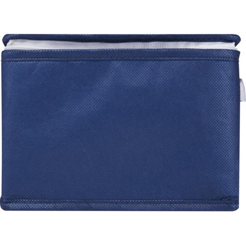 Spectrum нетканая сумка-холодильник, 4 л, на 6 банок, из переработанных материалов; - купить необычные подарки в Воронеже