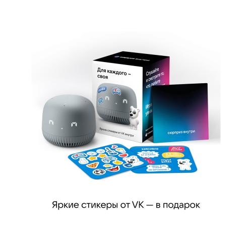 VK Капсула нео с голосовым помощником Марусей; - купить подарки с логотипом в Воронеже