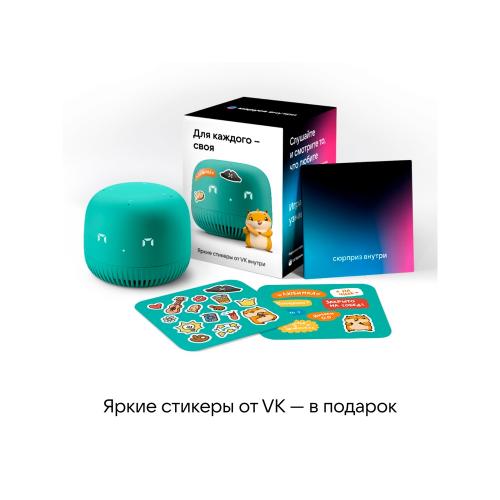 VK Капсула нео с голосовым помощником Марусей; - купить подарки с логотипом в Воронеже