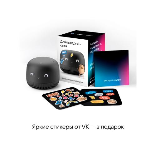 VK Капсула нео с голосовым помощником Марусей; - купить подарки с логотипом в Воронеже