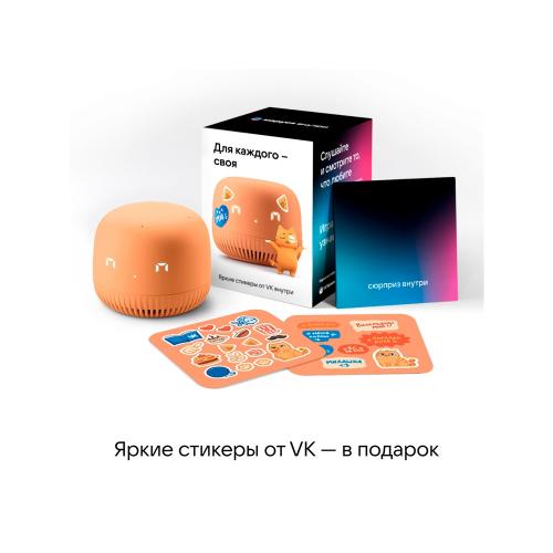 VK Капсула нео с голосовым помощником Марусей; - купить подарки с логотипом в Воронеже