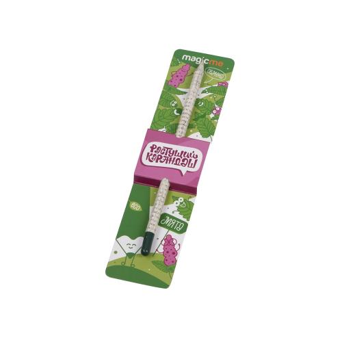 Растущий карандаш с семенами мяты; - купить необычные сувениры в Воронеже