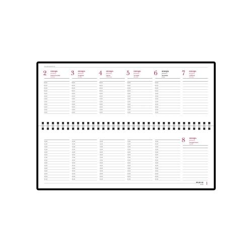 Планинг ГР. датированный Sidney Nebraska 2025; - купить необычные подарки в Воронеже