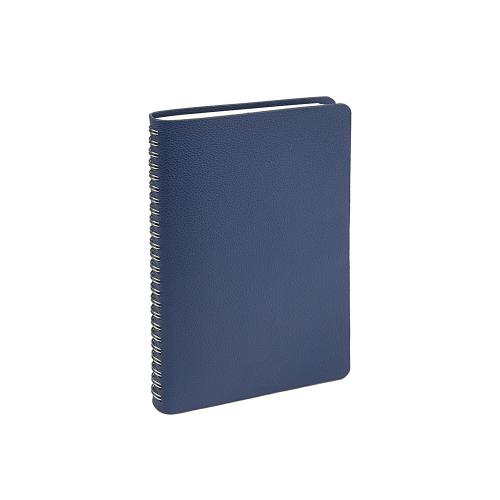 Ежедневник недатированный А5 Alba; - купить необычные сувениры в Воронеже