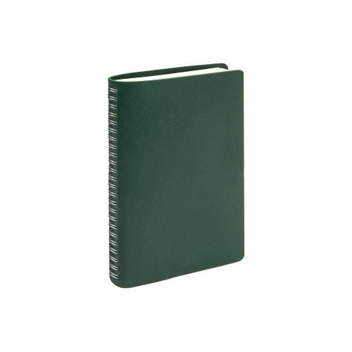 Ежедневник недатированный А5 Alba; - купить необычные сувениры в Воронеже