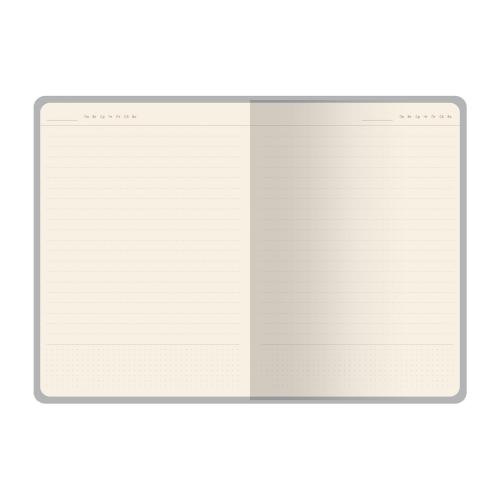 Ежедневник недатированный А6 Фаворит; - купить необычные сувениры в Воронеже