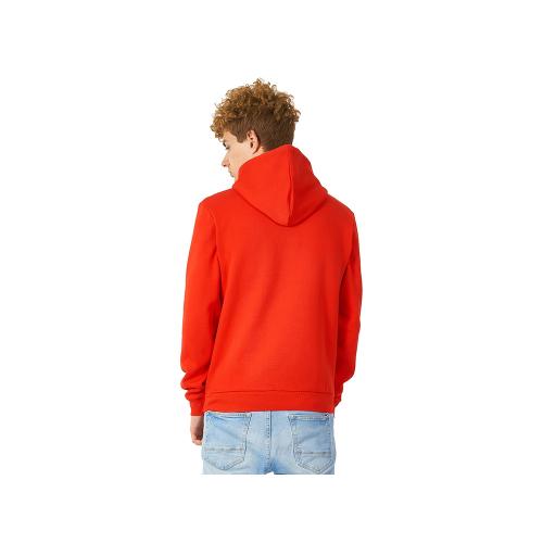 Толстовка с капюшоном Amsterdam мужская; - купить необычные сувениры в Воронеже