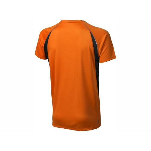 Футболка Quebec Cool Fit мужская; - купить необычные подарки в Воронеже