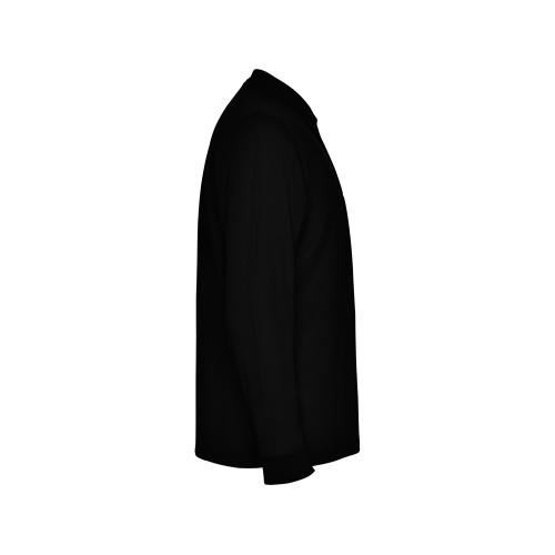 Рубашка поло Carpe мужская с длинным рукавом; - купить именные сувениры в Воронеже