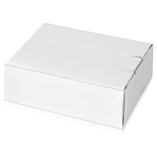 Награда Перо; - купить необычные сувениры в Воронеже