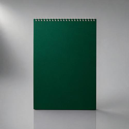Бизнес - блокнот Альт А4 (198 х 285 мм) Office 60 л., зеленый