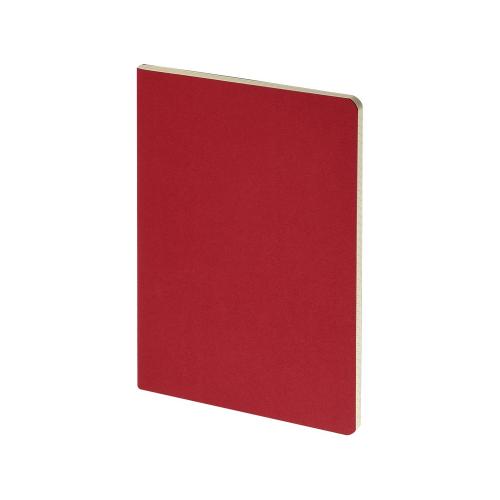 Бизнес-тетрадь А4 Pragmatic,  40л., клетка, красный