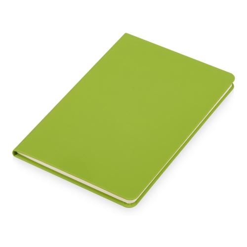 Подарочный набор Wispy swan с ручкой и блокнотом; - купить именные сувениры в Воронеже