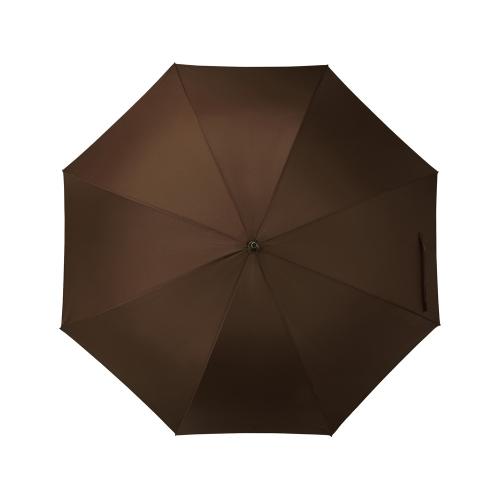 Зонт-трость полуавтомат Алтуна; - купить необычные подарки в Воронеже