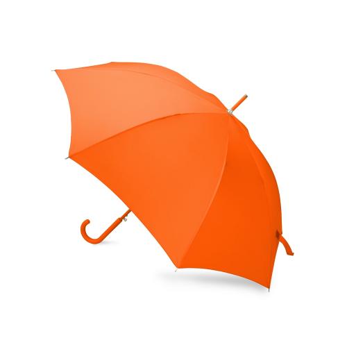 Зонт-трость Color полуавтомат; - купить необычные подарки в Воронеже