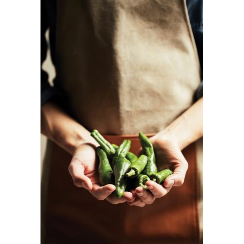 Фартук VINGA Asado; - купить необычные сувениры в Воронеже